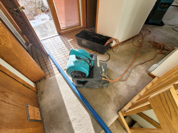 Best Water Damage Insurance Claim Assistance in Red Cloud, NE