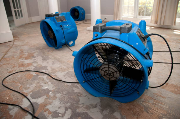 Best Wood Floor Water Damage Restoration in Red Cloud, NE